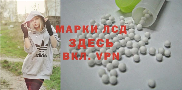 хмурый Алзамай