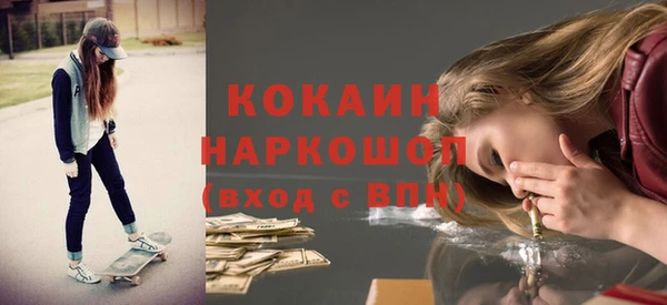 хмурый Алзамай