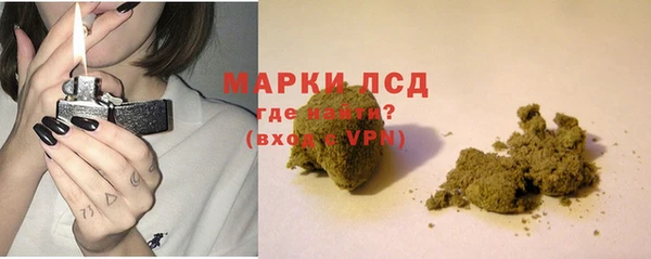 хмурый Алзамай