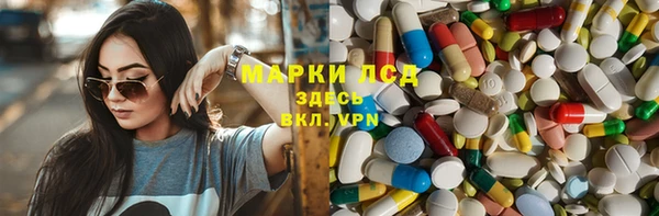 хмурый Алзамай