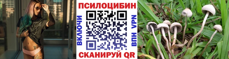 мега рабочий сайт  Москва  Галлюциногенные грибы Magic Shrooms 